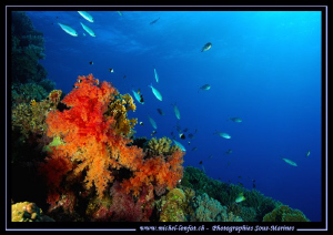 Red Sea Atmospher... Que du bonheur... :O)... by Michel Lonfat 